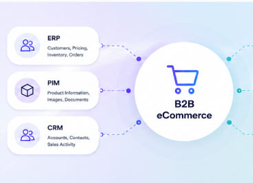 The Complete Guide to B2B eCommerce Integration